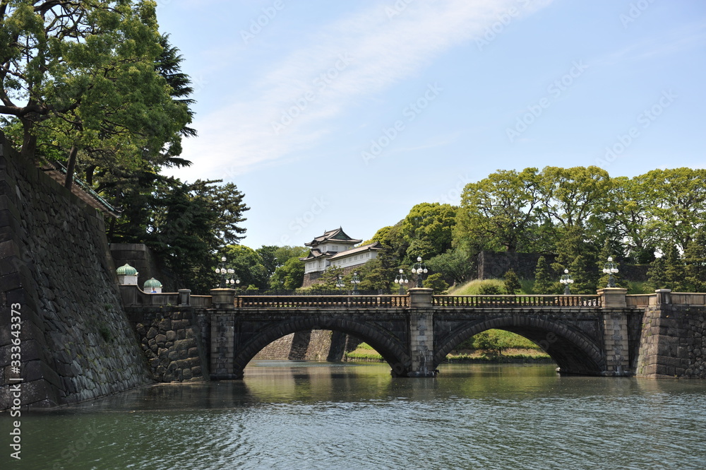 皇居の正門石橋の風景（春の東京の風景）