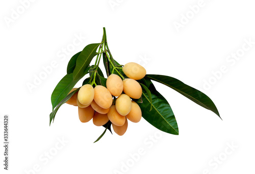 Bunch of plum mango fruit or bouea macrophylla griffith with green leaves stem  isolated on white background photo