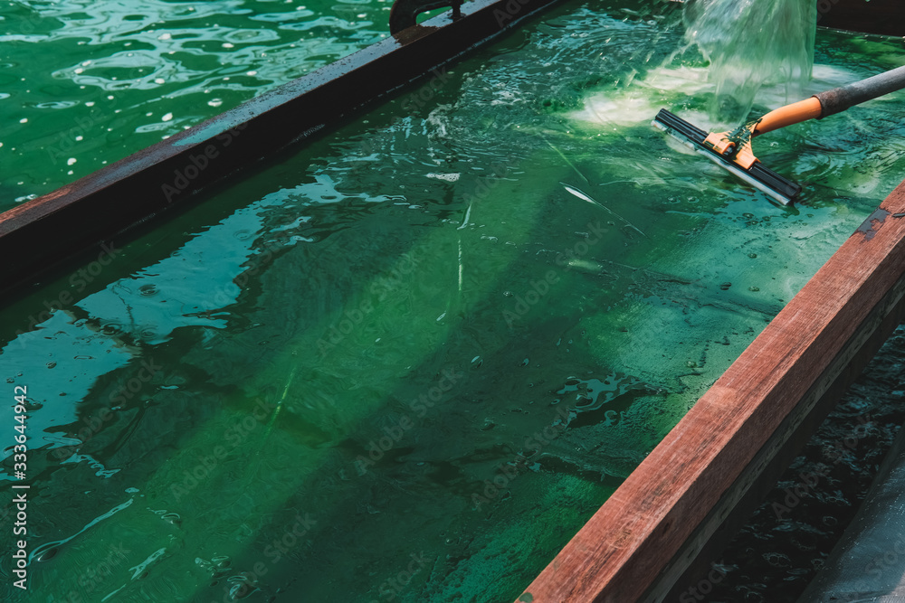 Spirulina farm. Algae farming for dietary supplement production
