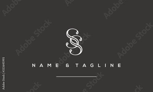 Alphabet letter icon logo ss