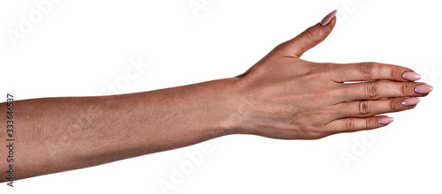 Female black hands isolated white background showing gesture holds something or takes, gives. african woman hands showing different gestures