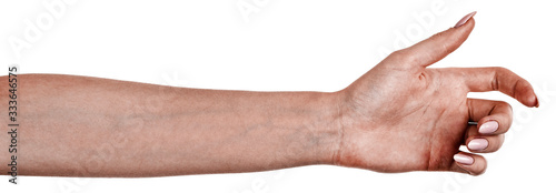 Female black hands isolated white background showing gesture holds something or takes, gives. african woman hands showing different gestures