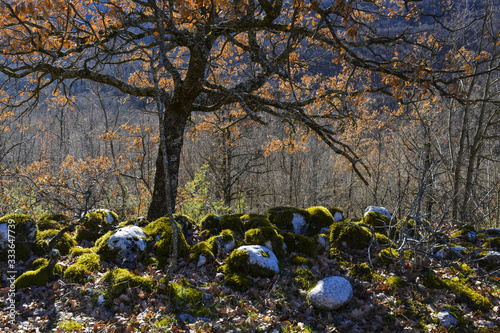 Paysage d'hiver dans les Abruzzes en Italie photo