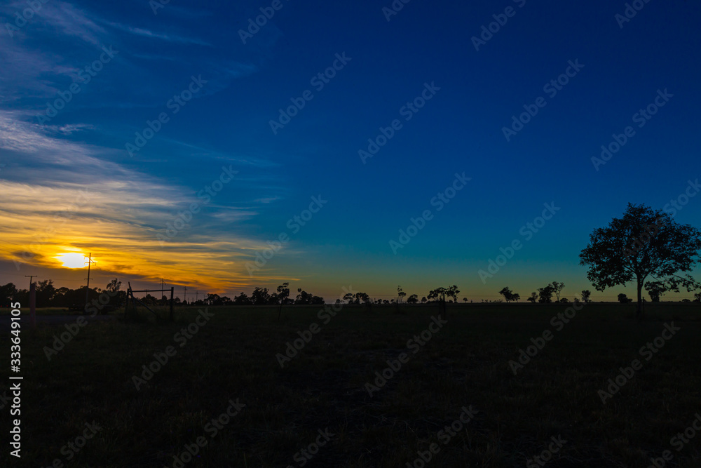 Sunrise at the Australien outback near the village of Roma, Queensland, Australia. Orange sunlight and dark blue sky, Silhouette of a tree in the foreground.   tranquil morning scenery open landscape
