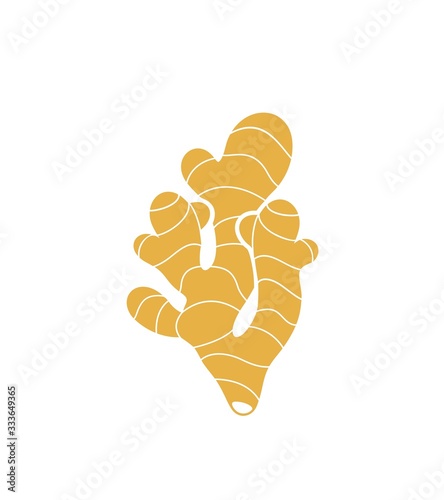 Ginger logo. Isolated ginger on white background