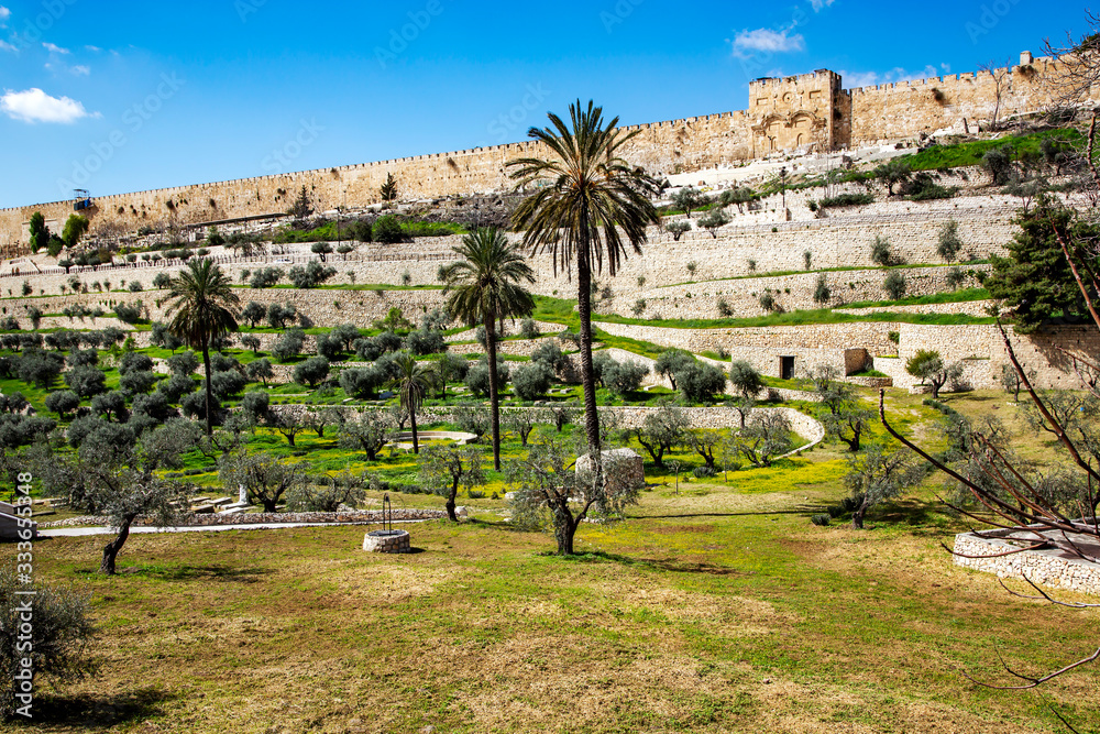 Naklejka premium View of the Golden Gate of the walls of the old city of from the Mount of Olives. Mount of Olives - since biblical times, there was a Jewish cemetery. Middle East, Jerusalem, Israel.