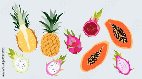 Isolated tropical exotic fruit set. Sweet vibrant colour cut into half papaya, dragon fruits and pineapple. Trendy hand drawn illustrated elements for web and print design.