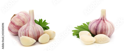 Garlic with leaves of parsley isolated on white photo