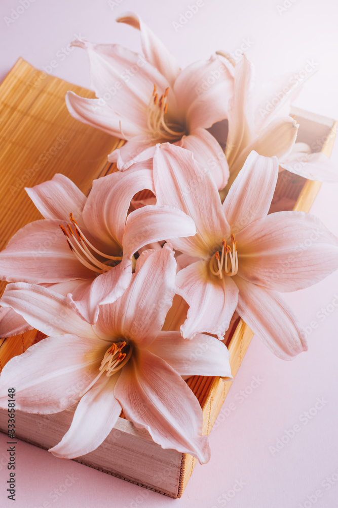 Beautiful pink lily flowersin a present box flat lay on pastel table top, spring card, top view. Spring or summer card with flowers, top view, copy space