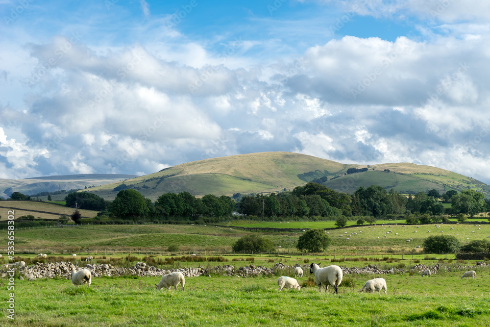Fototapeta premium Countryside of the Lake District