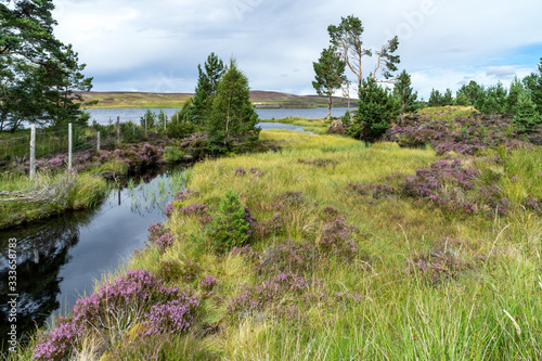 Countryside at Lochindorb photo