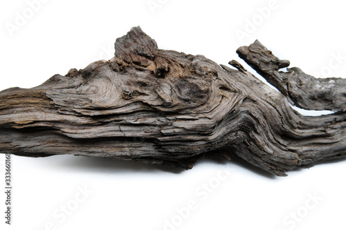 Driftwood/aged wood over white background. Isolated piece of driftwood top view. Driftwood stick closeup, wood texture for aquarium.