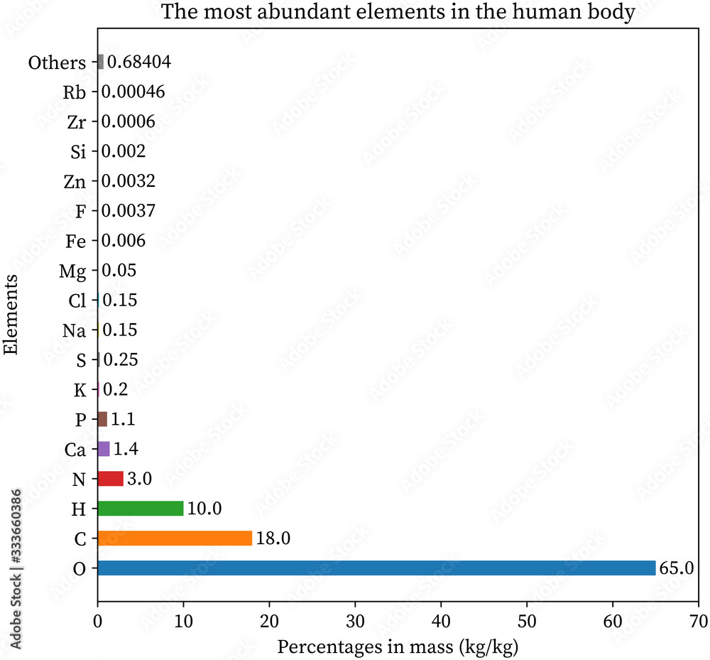 Fotografie The Most Abundant Elements in the Human Body graph