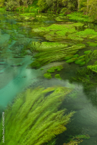 ニュージーランド　プタルルのブルースプリングの透明で澄んだ川 © pespiero