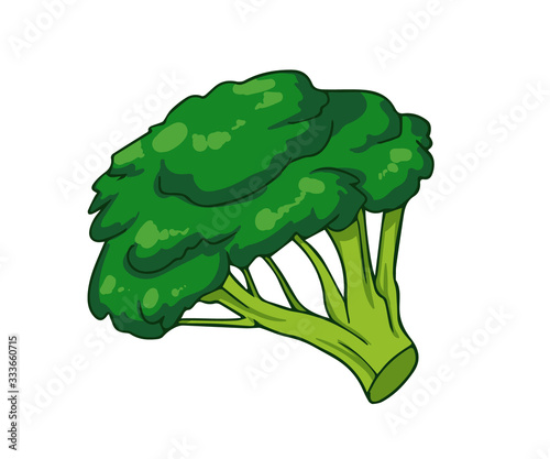 Fresh broccoli. Cartoon vector icon isolated on white