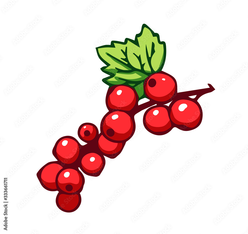 Branch of red currant. Cartoon vector icon isolated on white background. Branch of red currant. Cartoon vector icon isolated on white background.
