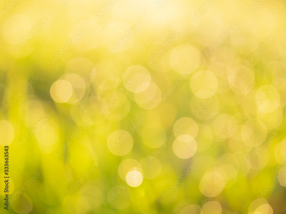 Fototapeta premium 朝露と光