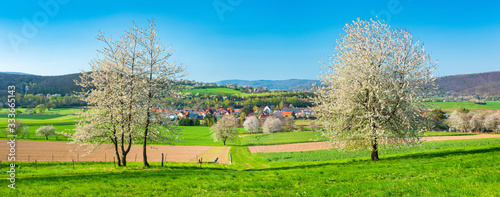 Frühling in Nordhessen, Kulturlandschaft bei Bad Sooden-Allendorf, blühende Kirschbäume, Hessen, Deustchland