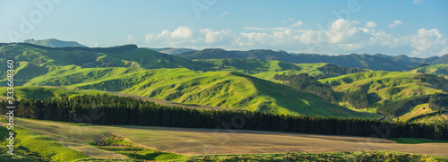 ニュージーランド ワイララパのキャッスル・ポイントのキャッスル・ロックから見える丘陵