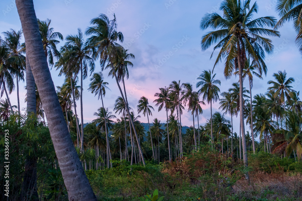 Obraz premium Sonnenuntergang in Thailand