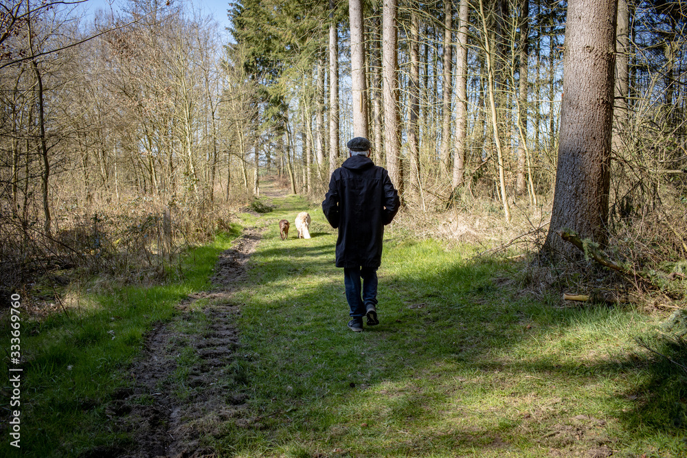 Alter Mann Senior spaziert allein mit Hunden im Wald Social Distancing wegen Corona Alter Mann Senior spaziert allein mit Hunden im Wald Social Distancing wegen Corona