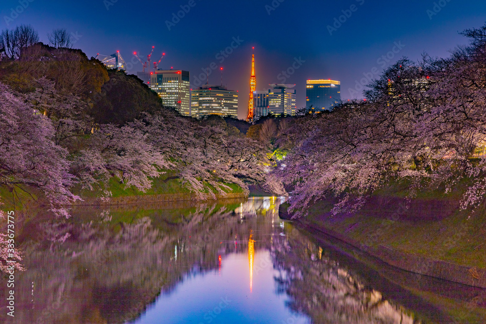 東京、千鳥ヶ淵の夜桜と東京タワー