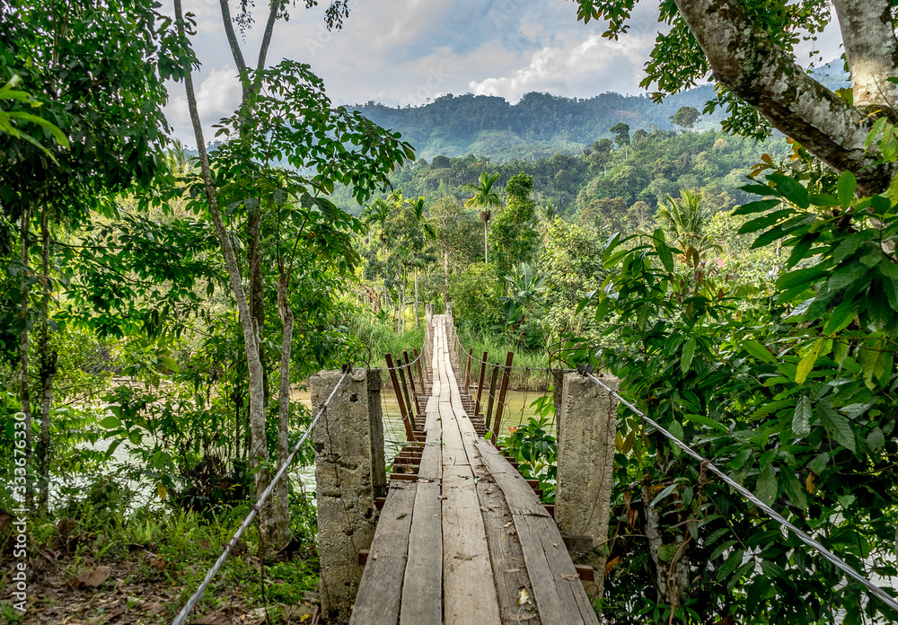 Fototapeta premium Drewniany most wiszący w niesamowitej dżungli Bukit Barisan Leuser