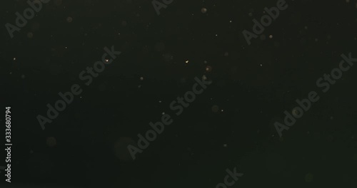 Slow motion real dust particles floating in air over black background with sunset light