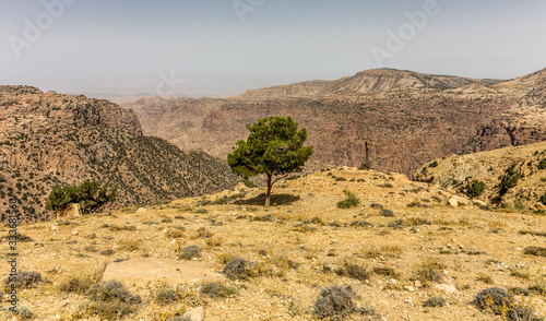 Dana Reserve, Jordan Tourist Destination  © chris