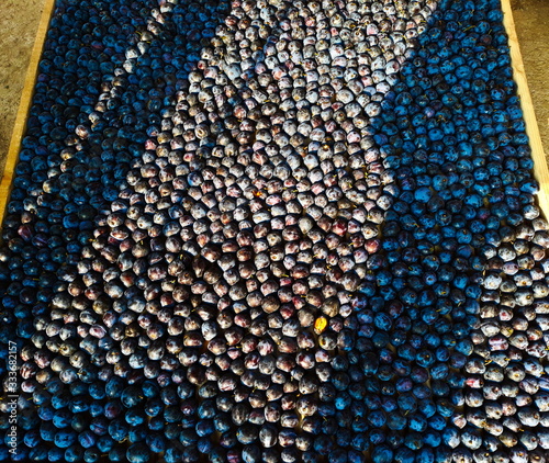 Plums stacked side by side on a wooden stand ready for drying.