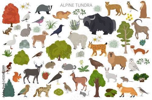 Apine tundra biome, natural region infographic. Terrestrial ecosystem world map. Animals, birds and plants design set photo