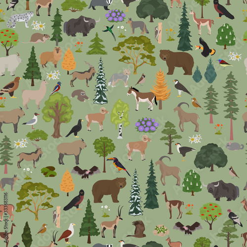 Montane forest biome, natural region seamless pattern. Terrestrial ecosystem world map. Animals, birds and vegetations ecosystem design set photo