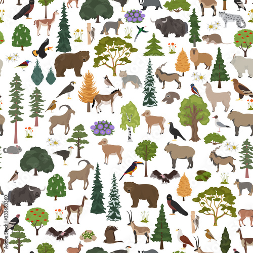Montane forest biome, natural region seamless pattern. Terrestrial ecosystem world map. Animals, birds and vegetations ecosystem design set