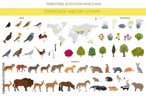 Temperate and dry steppe biome, natural region infographic Fotobehang