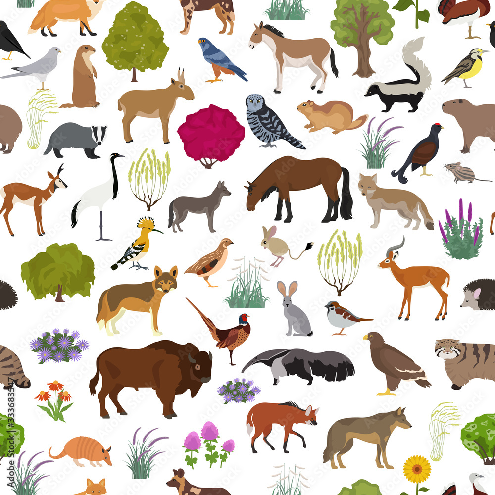 Temperate and dry steppe biome, natural region seamless pattern. Prarie, steppe, grassland, pampas. Terrestrial ecosystem world map. Animals, birds and vegetations ecosystem design set