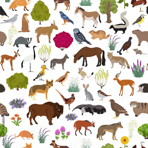 Temperate and dry steppe biome  natural region seamless pattern. Prarie  steppe  grassland  pampas. Terrestrial ecosystem world map. Animals  birds and vegetations ecosystem design set