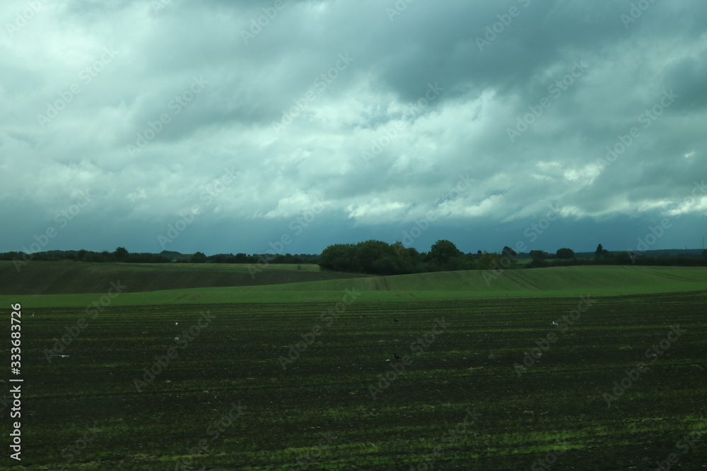Fototapeta premium field with dark sky