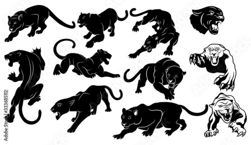 Set of  panthers. Collection of silhouettes of portraits of predatory wild cats. Set of wildlife and fauna inhabitants. Vector illustration on a white background. tattoo.
