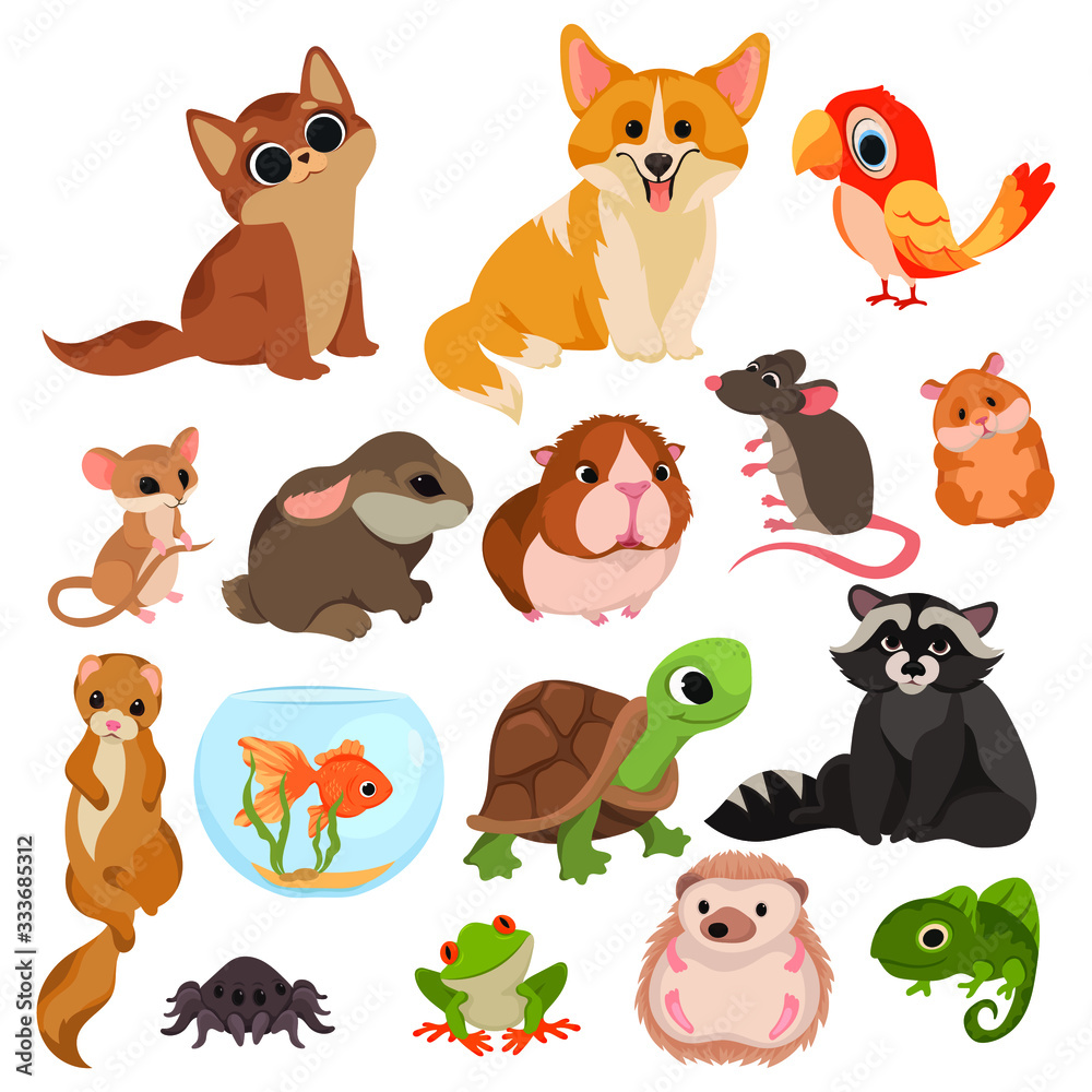 Set of cartoon pets. Collection of various domestic mammals, rodents,  birds, reptiles. Vector illustration of animals for children. Drawing for  children. Stock Vector | Adobe Stock