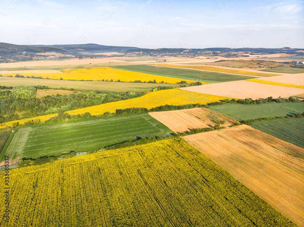 Obraz premium Fields