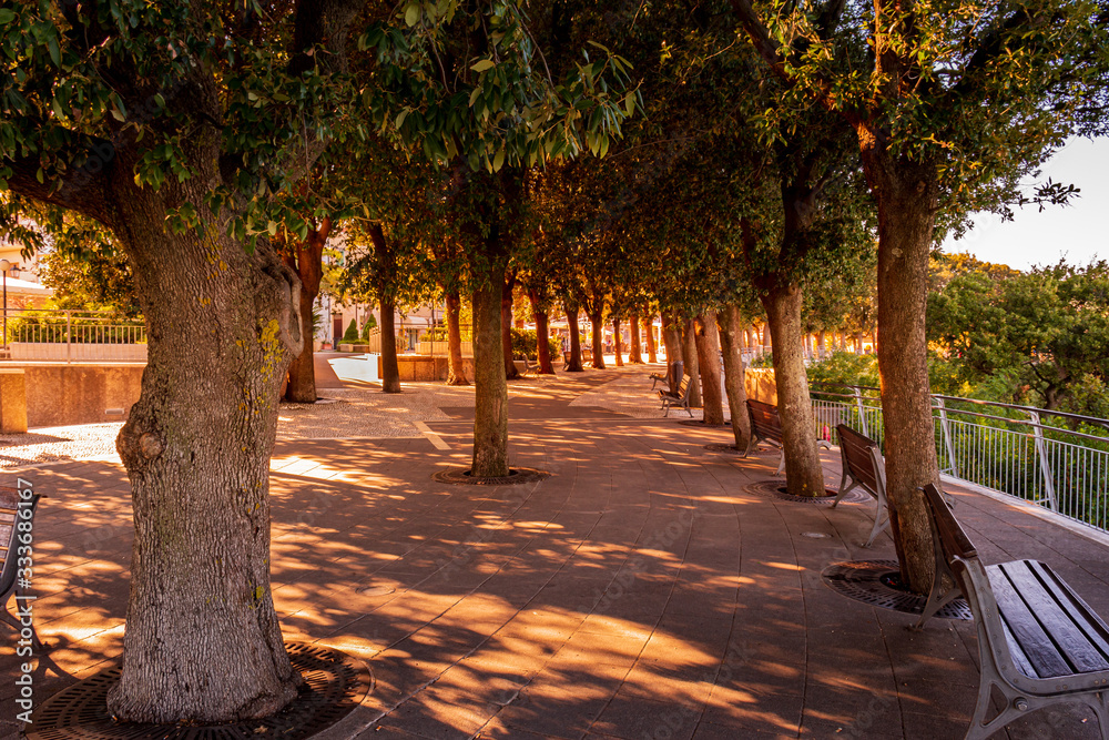 Golden hour sunlight shines through the shaded trees at Conero Terrace, Sirolo, Italy