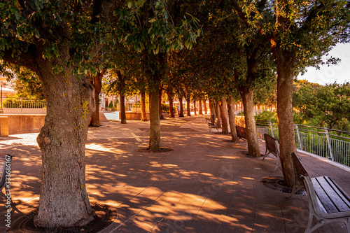 Obraz na płótnie Golden hour sunlight shines through the shaded trees at Conero Terrace, Sirolo, Italy w salonie
