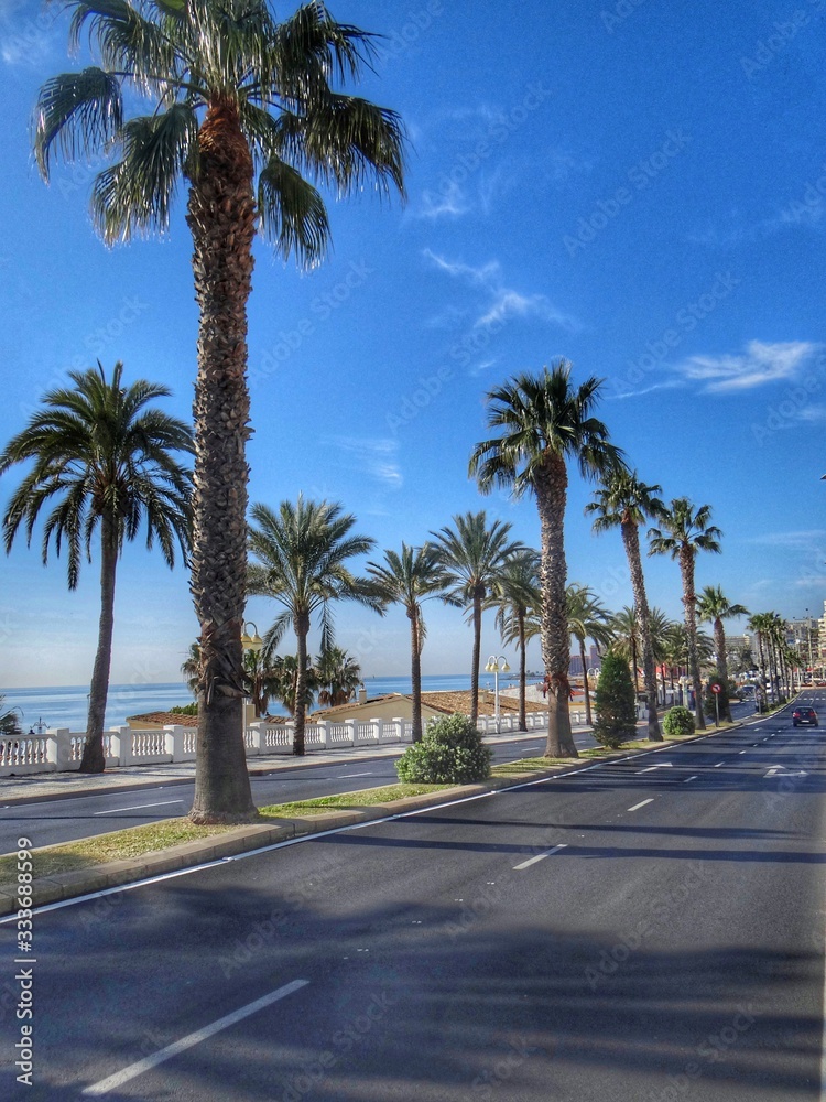 Palm Avenue along the beach in Benalmadena, Spain.
