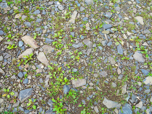 the wall is lined with natural stone on the ground façade