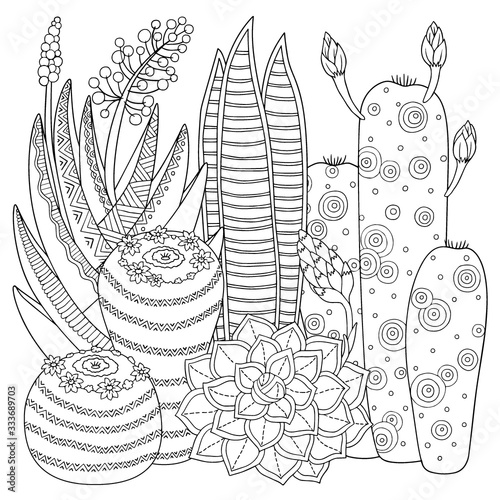Vector coloring book for adult. Cute cacti and succulents with spines and flowers. Black and white outline image on a white background