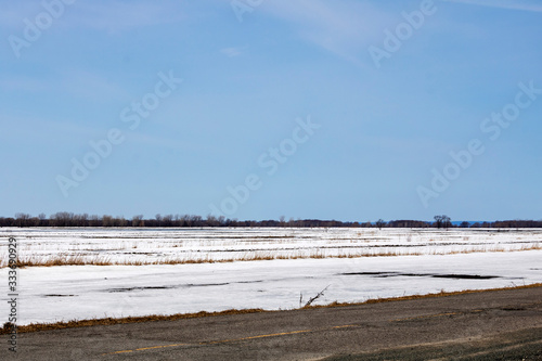 Migration des oies blanches  Baie du Febvre  Qu  bec Canada