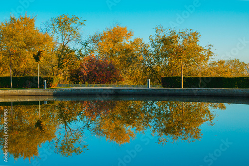  Autumn  trees reflected in the water. Blue sky  yellow trees.