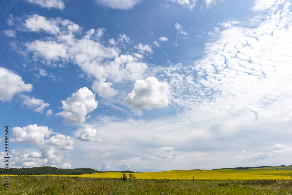 White Clouds Over Yellow field