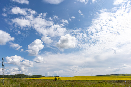 Obraz na płótnie White Clouds Over Yellow field w salonie