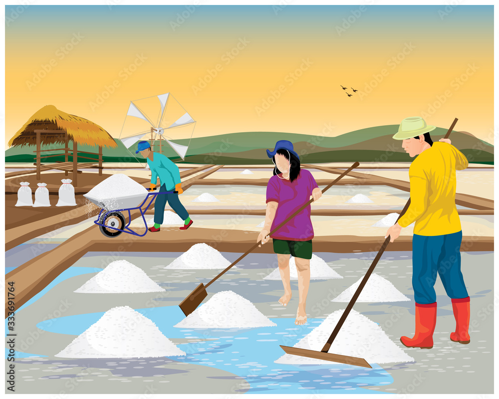 Fototapeta premium agriculturist work in saline field vector design